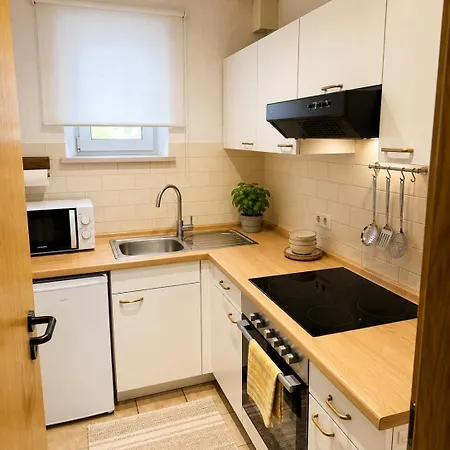 Grosse Business- & Monteurwohnung, 2 Schlafzimmer, Parkplatz, Wlan Apartment *